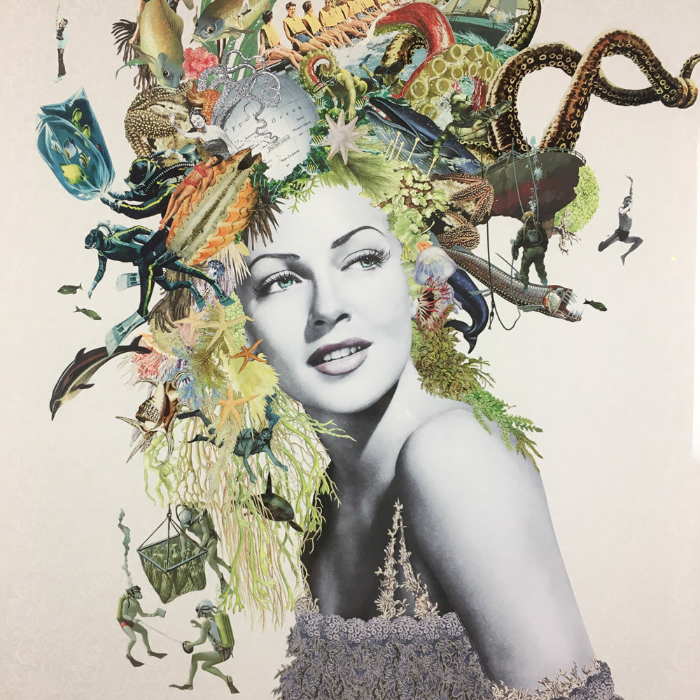 Maria Rivans Objects Maria Rivans - Venus - Limited Edition - Framed