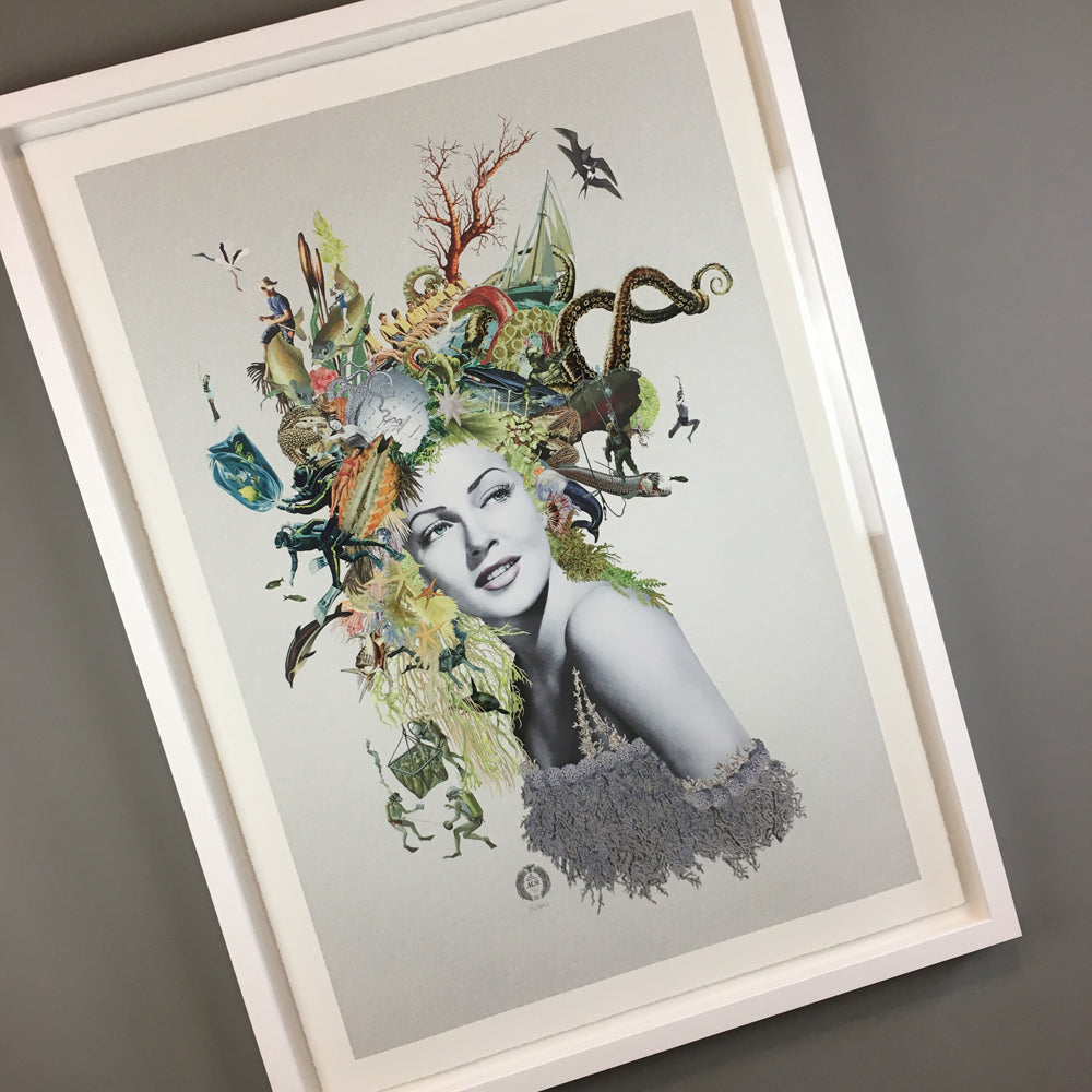 Maria Rivans Objects Maria Rivans - Venus - Limited Edition - Framed